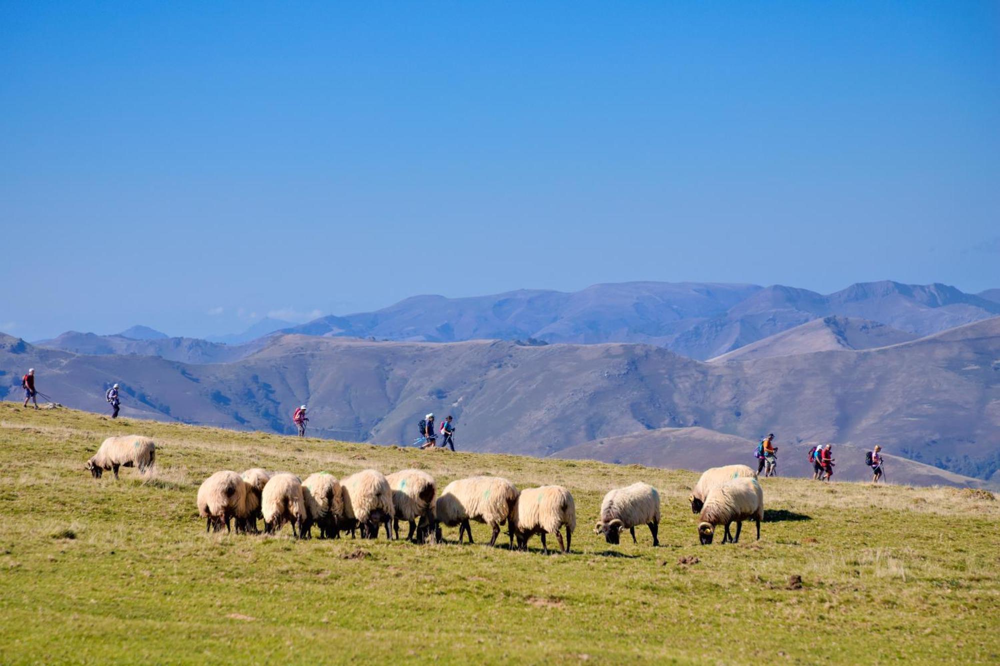 Vvf Residence Pays Basque 圣让皮耶德波尔 外观 照片